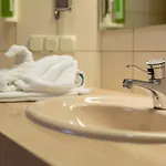 Fraenkischer Hof Hotel 3*
