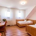 Fraenkischer Hof Hotel Rehau