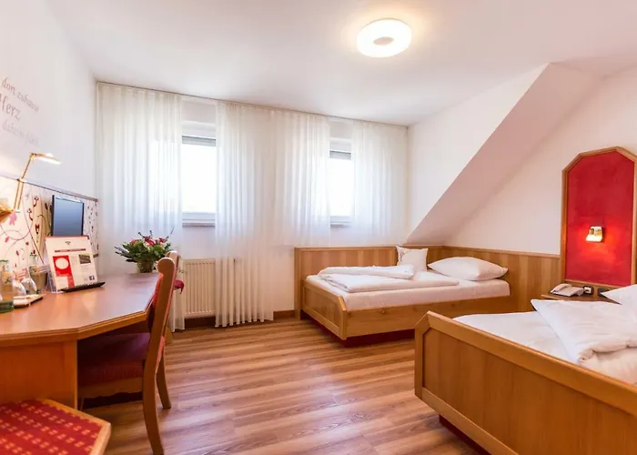 Fraenkischer Hof فندق Rehau