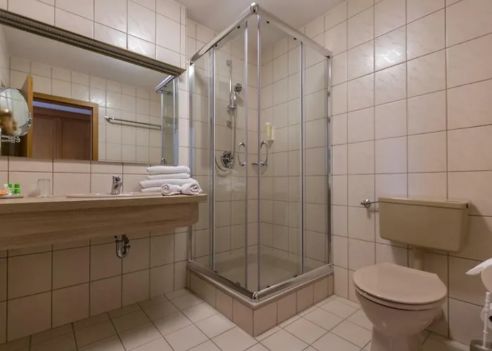 فندق Fraenkischer Hof Rehau